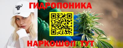 стаф Бугуруслан
