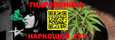 сатива Будённовск