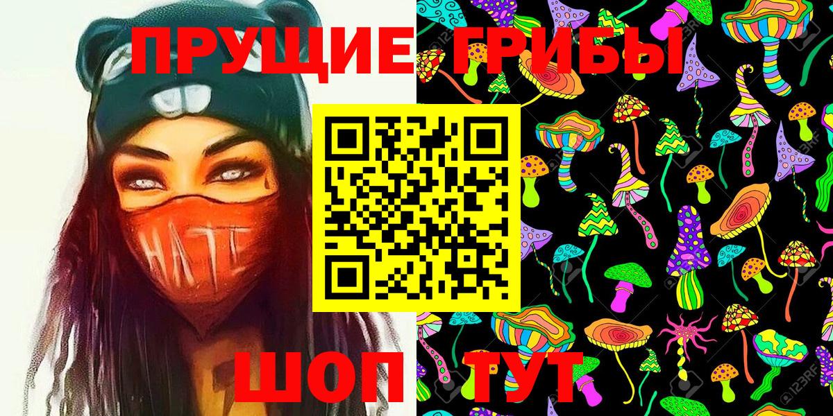 Старый Оскол  купить  сайты  Вход с VPN  Галлюциногенные грибы Psilocybe 