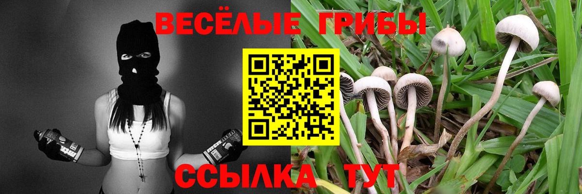 Псилоцибиновые грибы мицелий Старый Оскол